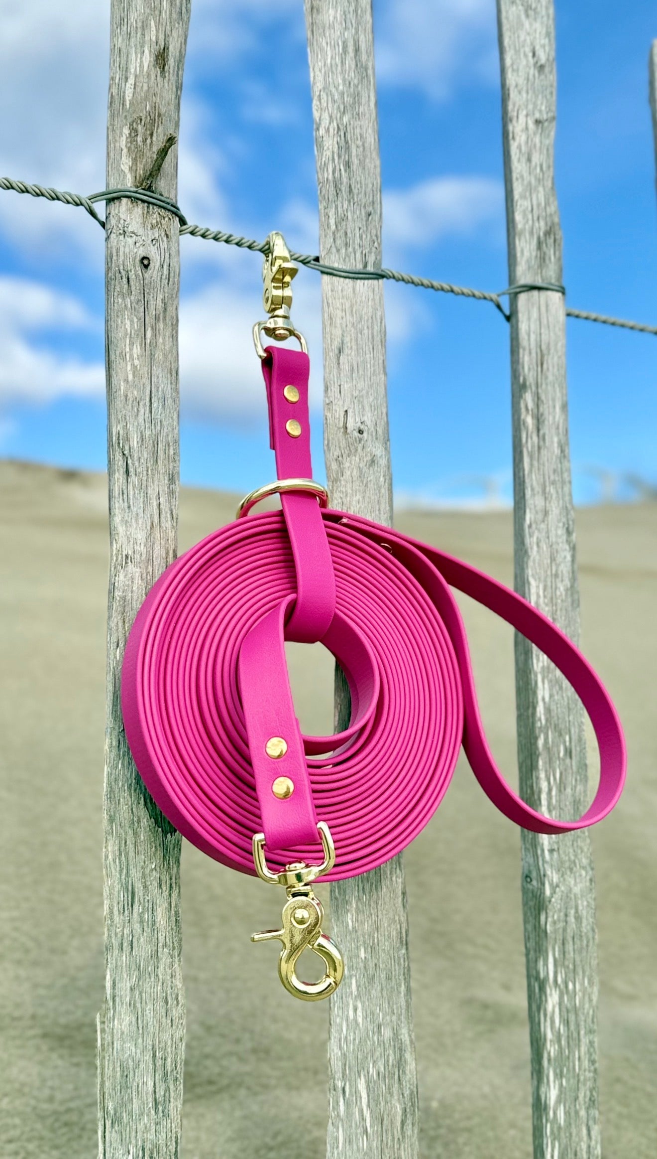 PORTE-LONGE