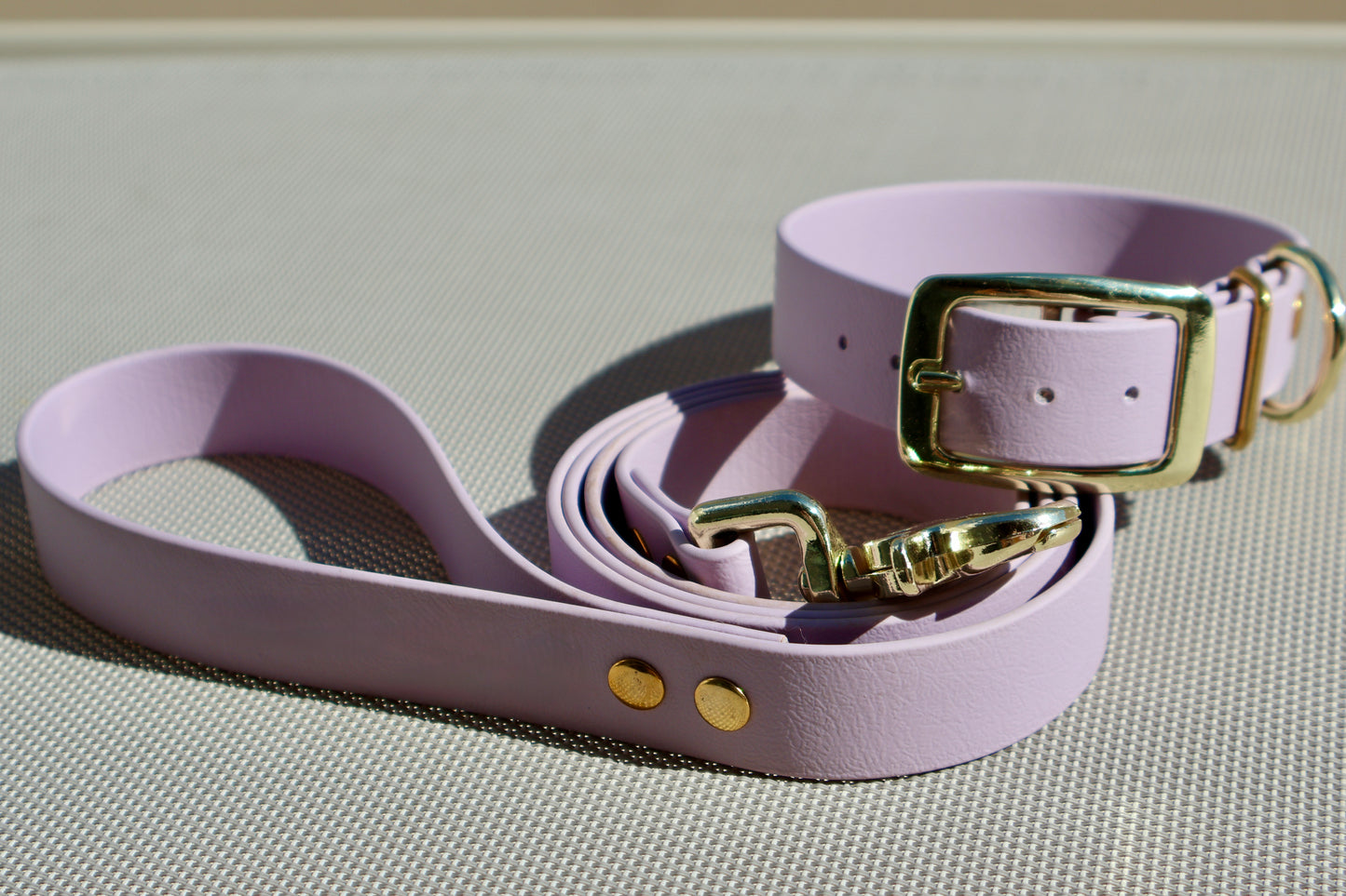 ENSEMBLE LAISSE & COLLIER SIMPLE