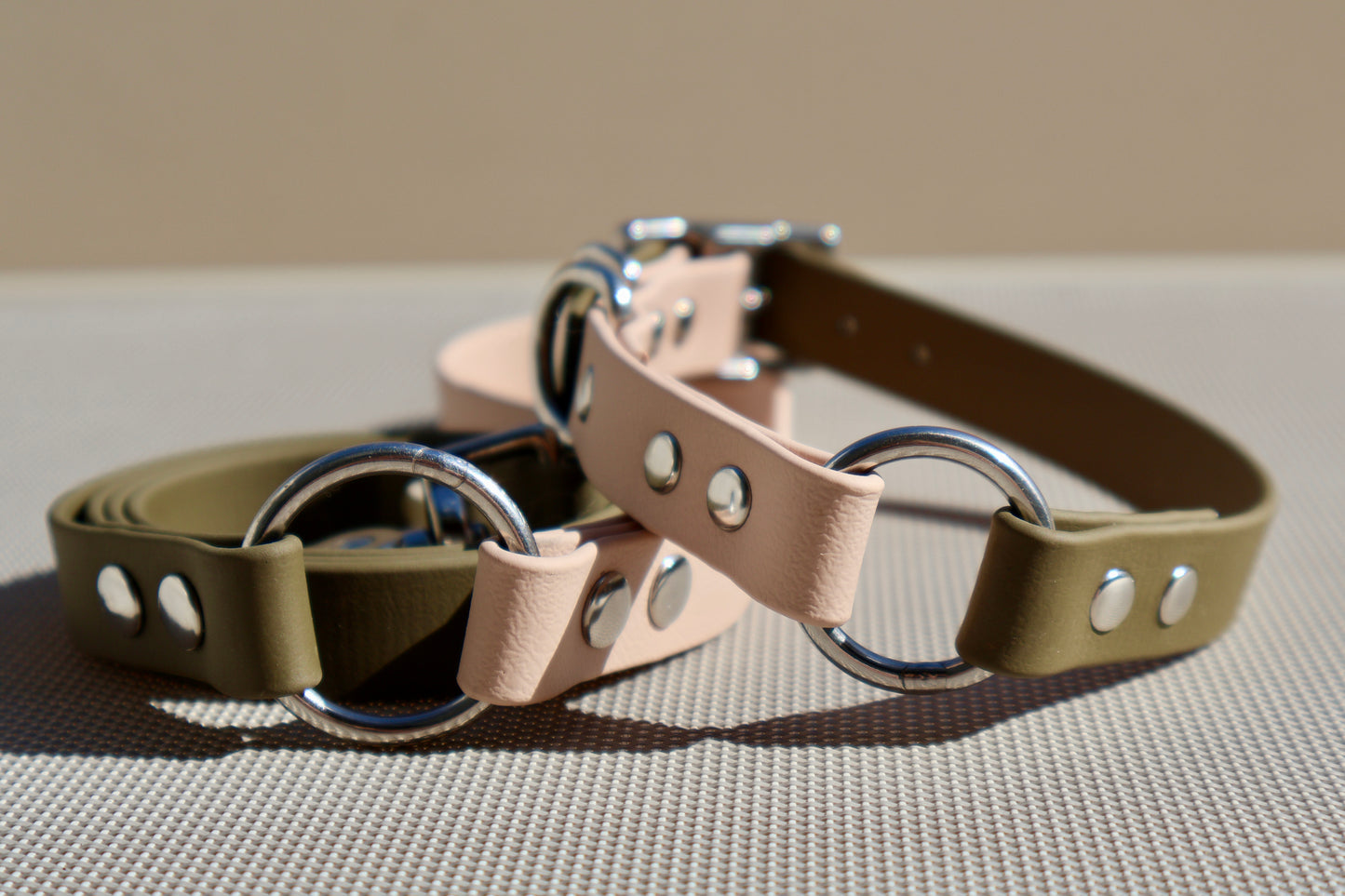 ENSEMBLE COLLIER & LAISSE À ANNEAUX