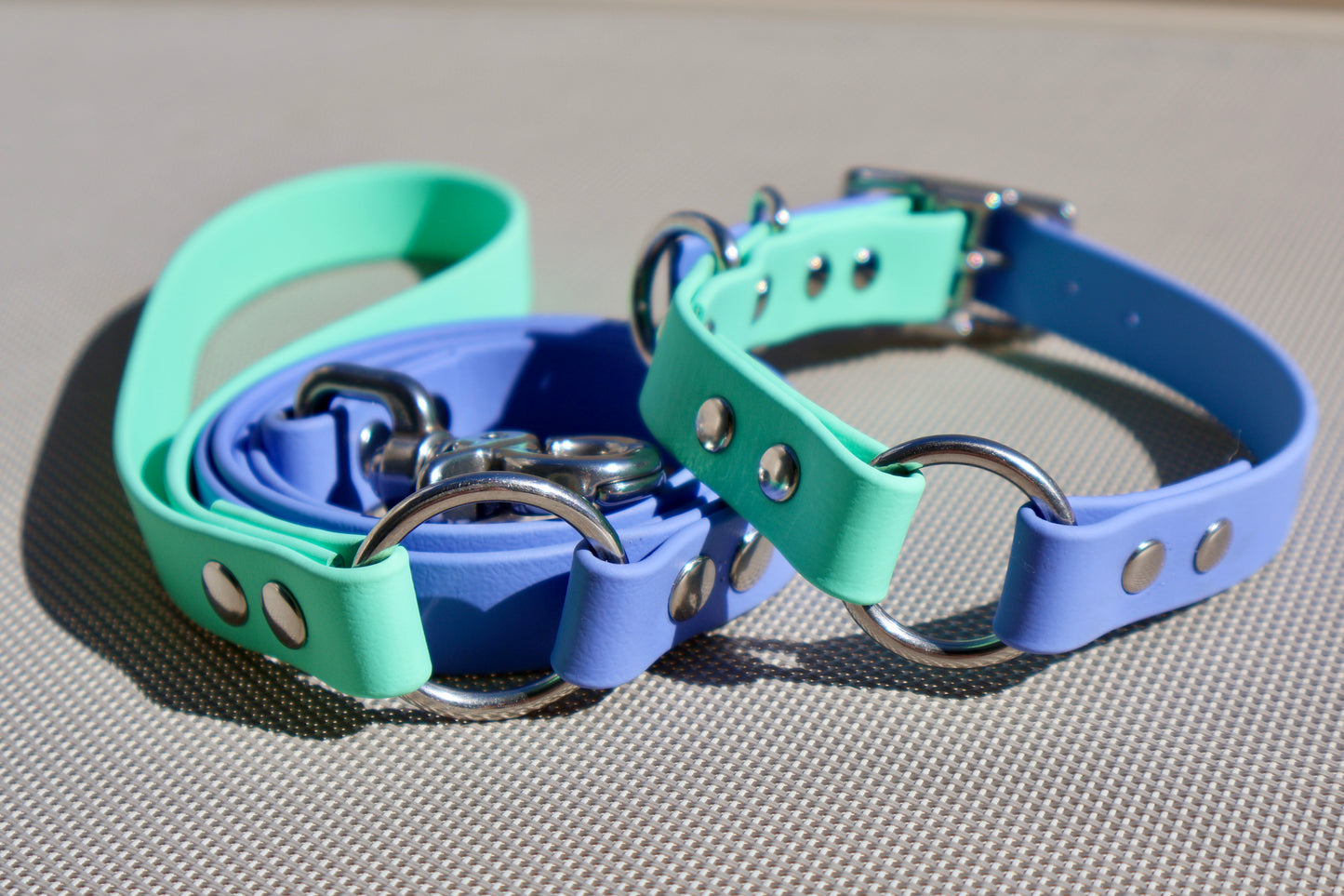 ENSEMBLE COLLIER & LAISSE À ANNEAUX